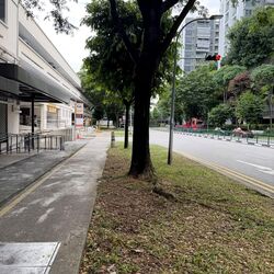 925 YISHUN CENTRAL 1 (D27), Shop House #576551631